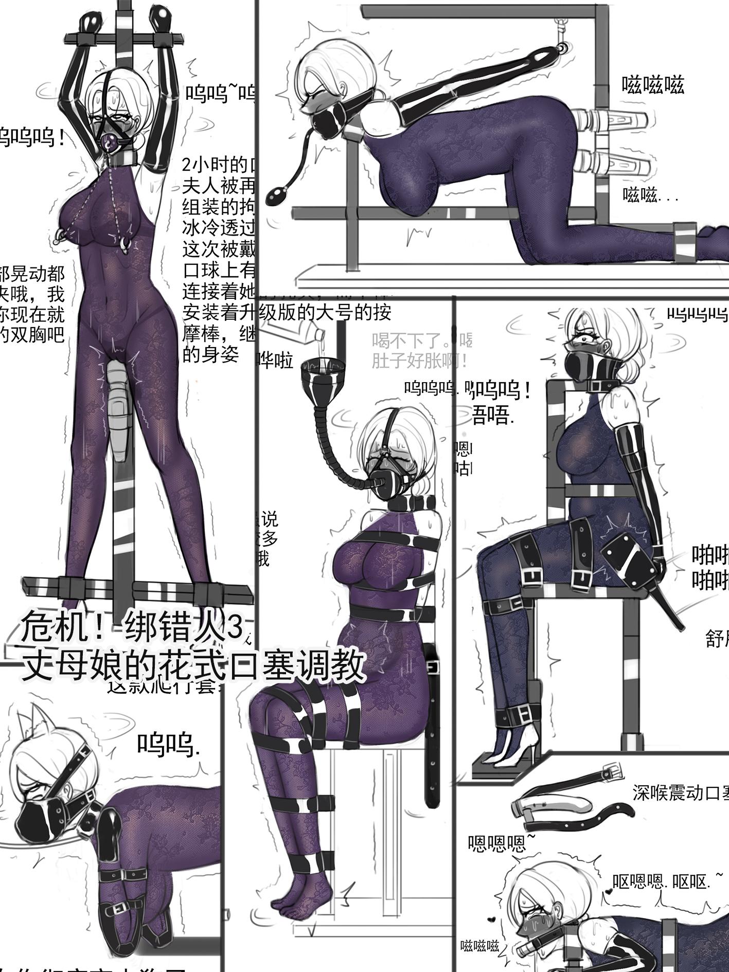 图片[1]-[夜匠]《危机！绑错人3丈母娘的花式口塞调教》 - 5元站-5元站