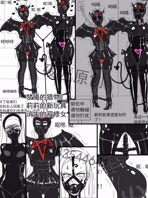 [夜匠]《梦魇的猎物2莉莉的新玩具，消失的双修女》 - 5元站-5元站