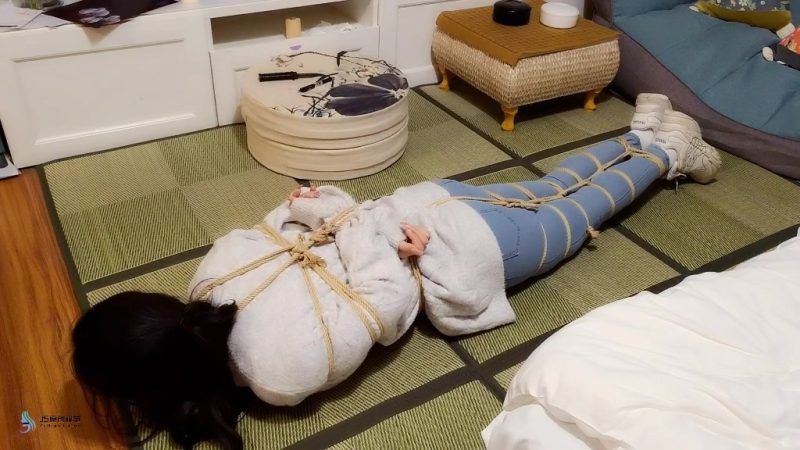 【JS】教师劫（二）-视频-5元站