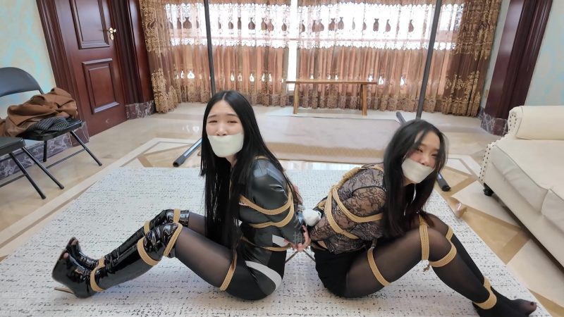 【枫叶工作室】《完蛋！我把美女捆绑了？——角色互换！惊喜不断的放松体验！》-视频-5元站