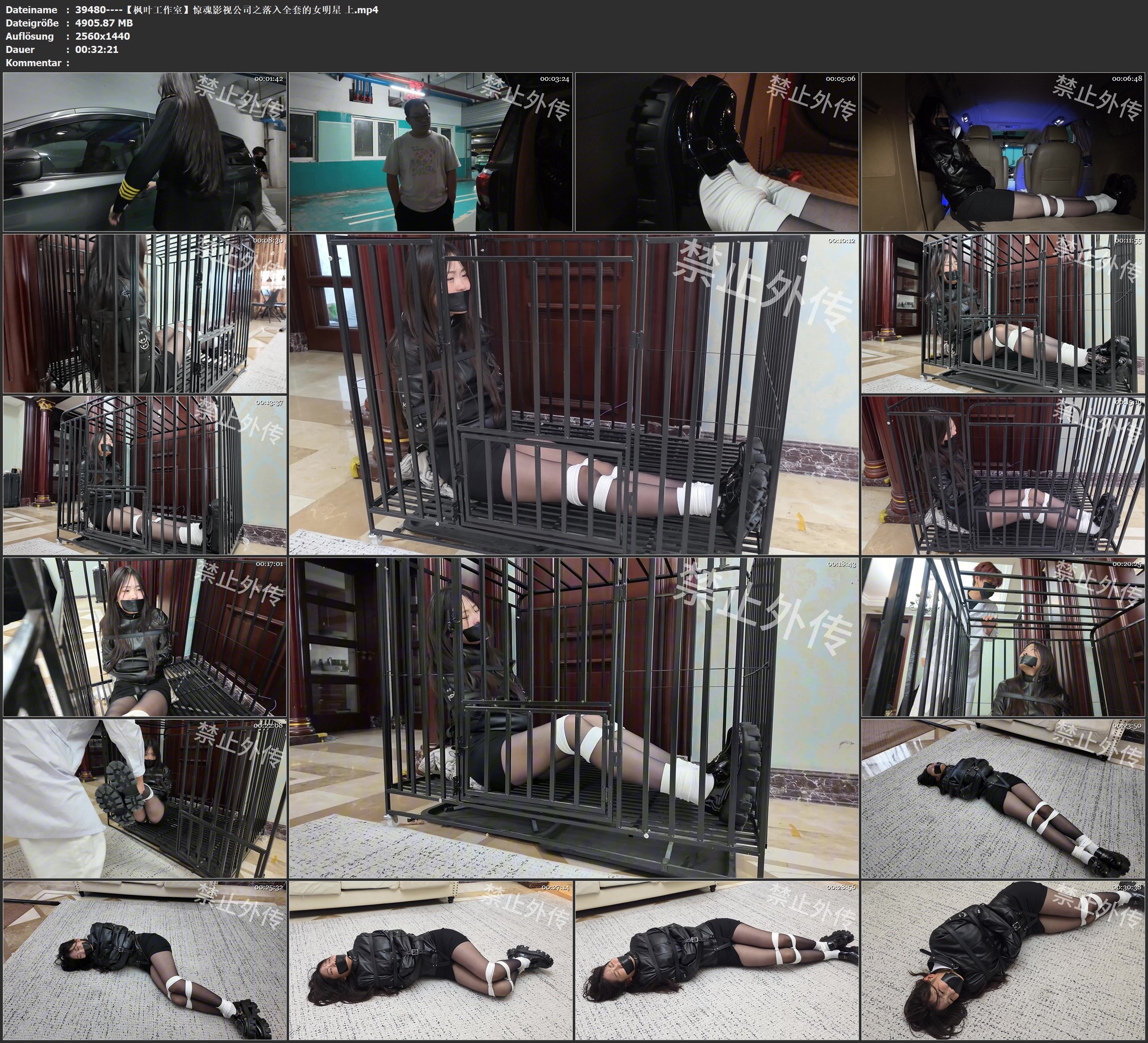 图片[4]-【枫叶工作室】惊魂影视公司之落入全套的女明星 上 - 视频-5元站-视频-5元站