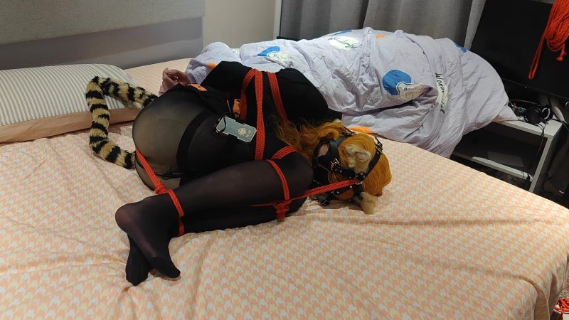 【下雪的花】诗怀雅马具口塞团缚电击-视频-5元站