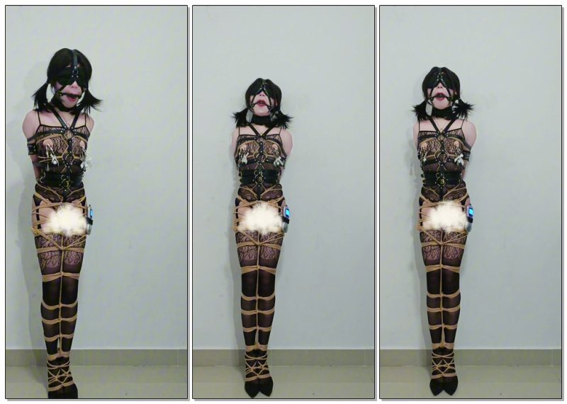 【安浣】全身紧缚电击罚站训练-视频-5元站