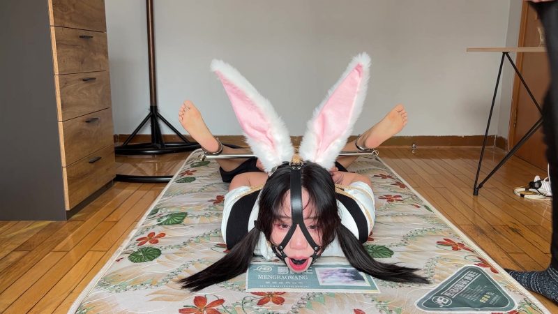 【玩奴原创】炮架驷马+马具口球堵嘴放置挣扎，你的小兔纸妹妹来了！-视频-5元站