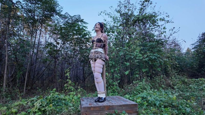 【一绳所爱】《野外、柱子上的陈依依》-视频-5元站