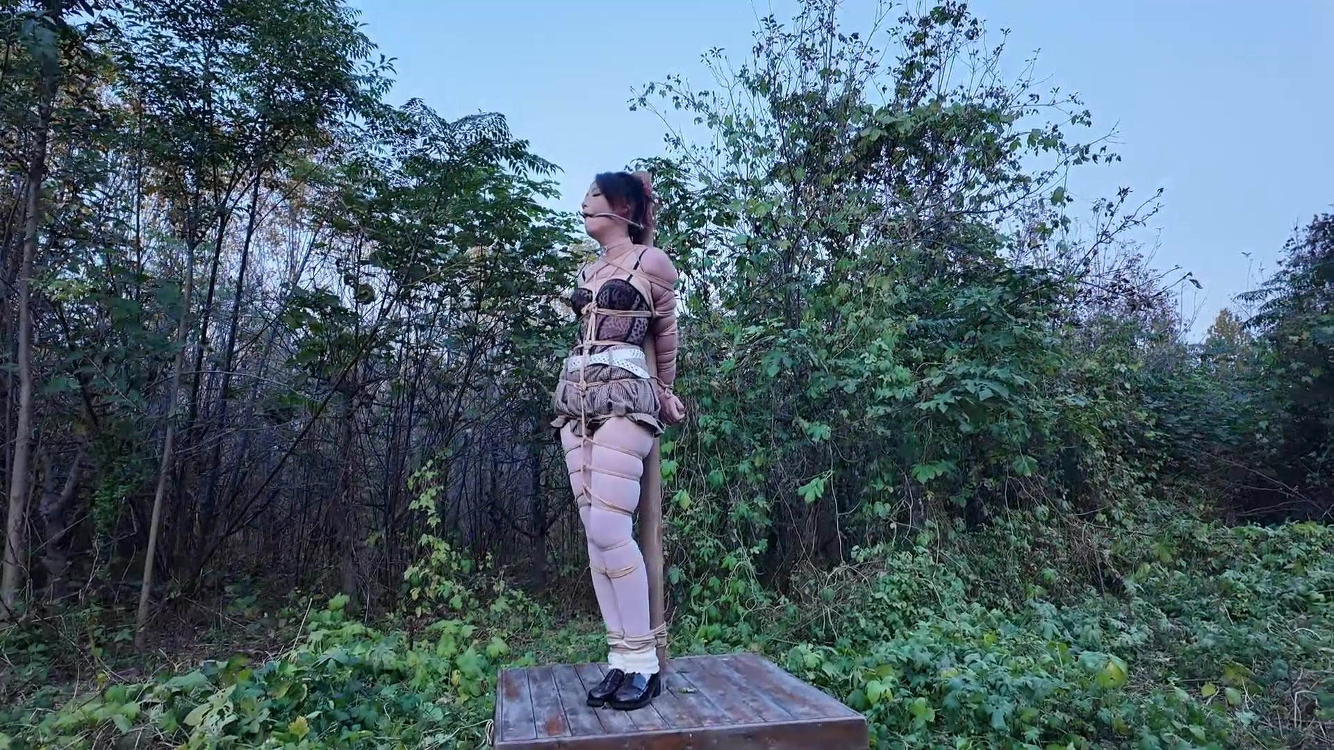 图片[3]-【一绳所爱】《野外、柱子上的陈依依》 - 视频-5元站-视频-5元站