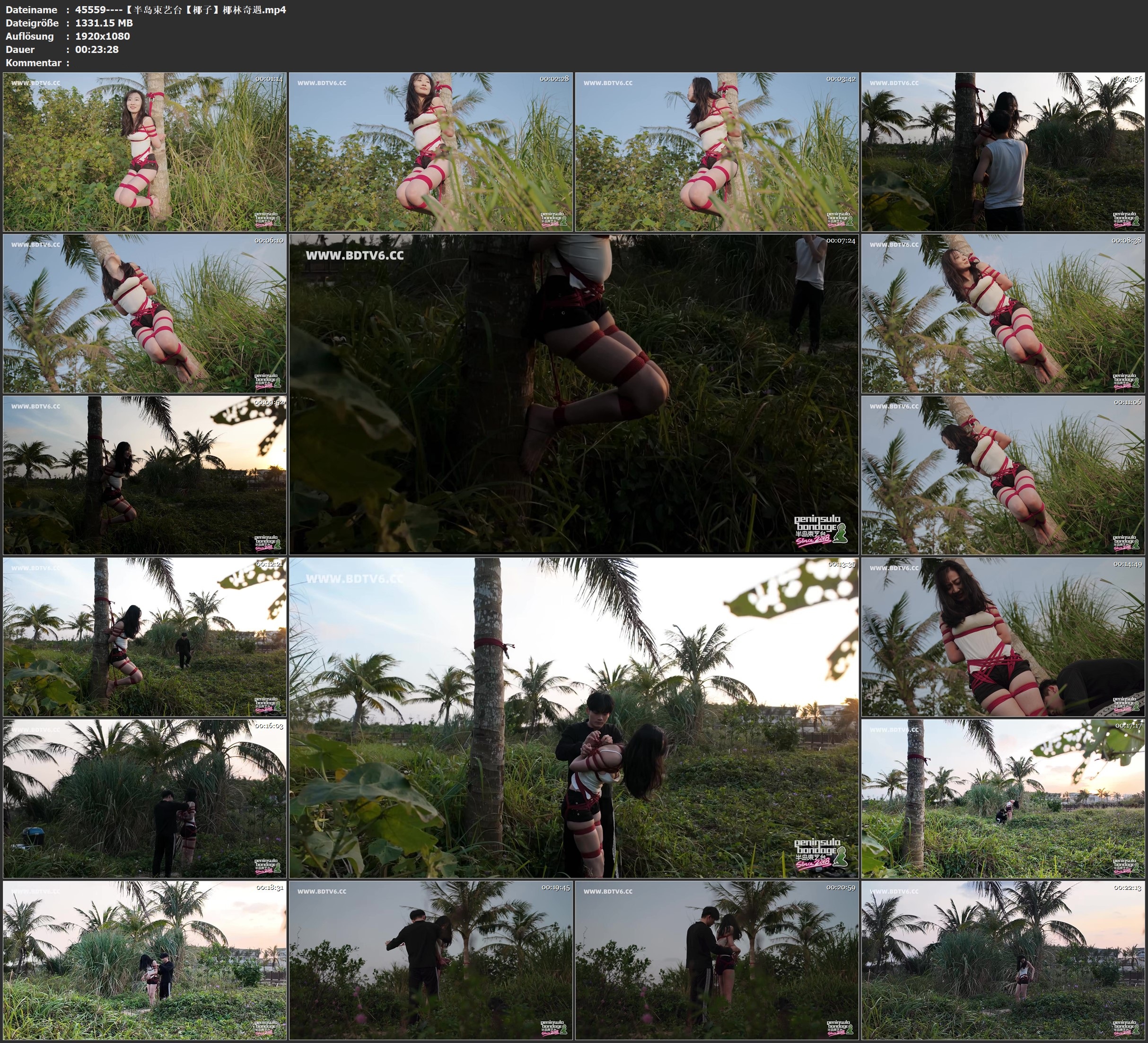 图片[2]-【半岛束艺台】【椰子】椰林奇遇 - 视频-5元站-视频-5元站