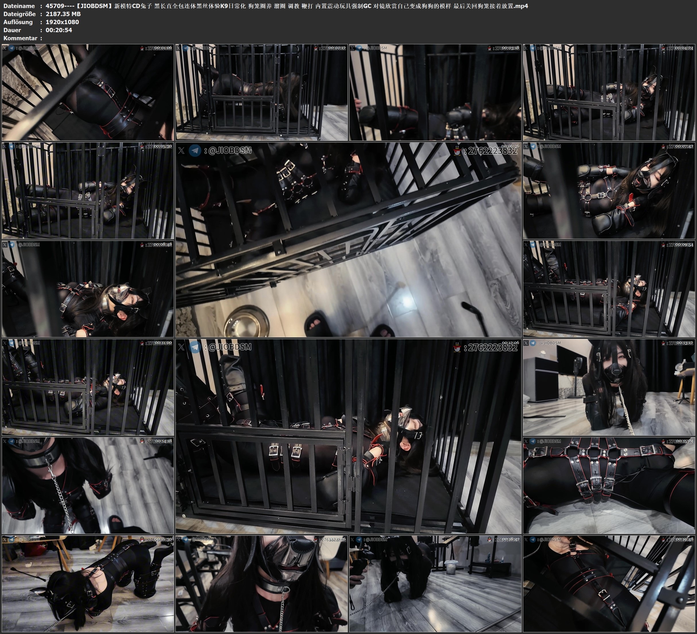 图片[3]-【JIOBDSM】新模特CD兔子 黑长直全包连体黑丝体验K9日常化 狗笼圈养 溜圈 调教 鞭打 内置震动玩具强制GC 对镜欣赏自己变成狗狗的模样 最后关回狗笼接着放置 - 视频-5元站-视频-5元站