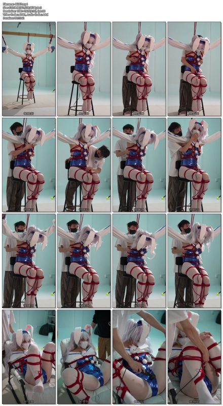 【楚鸽BGM】兔女郎拉菲受难记-视频-5元站