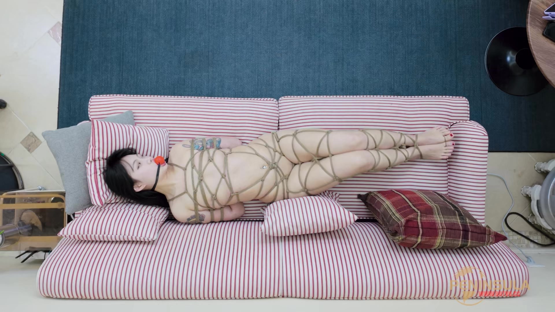 图片[1]-【半岛束艺台】【波雅】最怕台长太闲 - 视频-5元站-视频-5元站