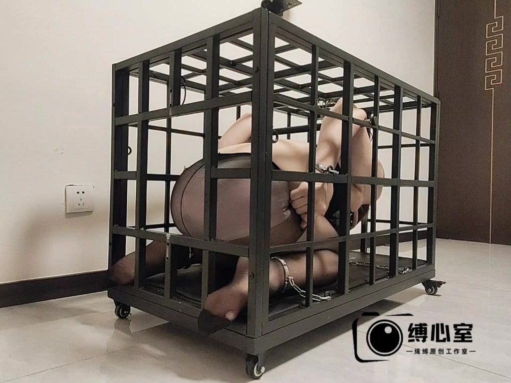 图片[2]-【缚心室】House of Gord兔笼复刻小番外，欢迎俄罗斯友人入住笼子，极限固定，口球堵嘴，全程用蹩脚的中文交流-视频-5元站