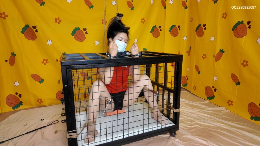 【道士下山】插翅难逃 《困兽之斗》-视频-5元站