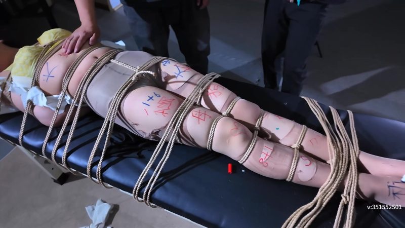 【一绳所爱】《职业白领星雨的劫难》2-视频-5元站