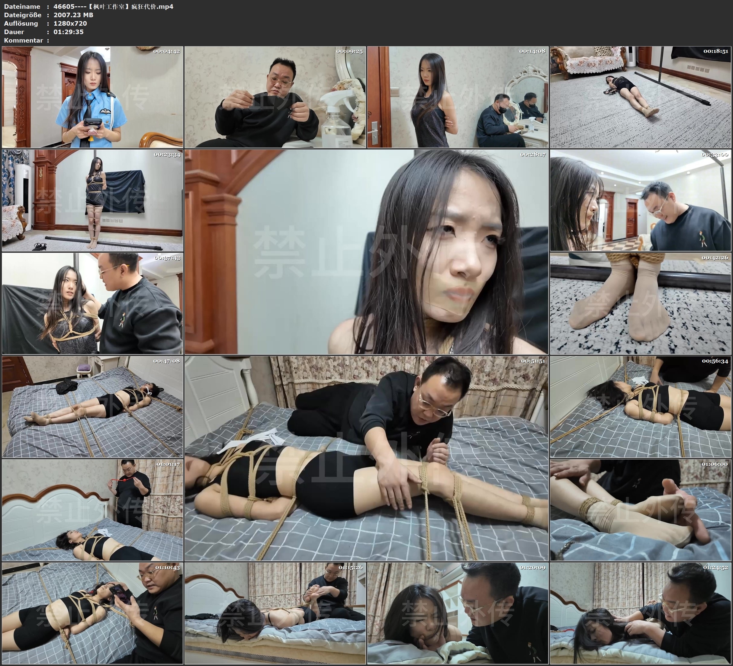 图片[3]-【枫叶工作室】疯狂代价 - 视频-5元站-视频-5元站