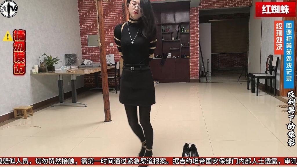 【精致原创】斯特兰奇法制电视台《红蜘蛛》第一集——绞刑架下的谍影-视频-5元站