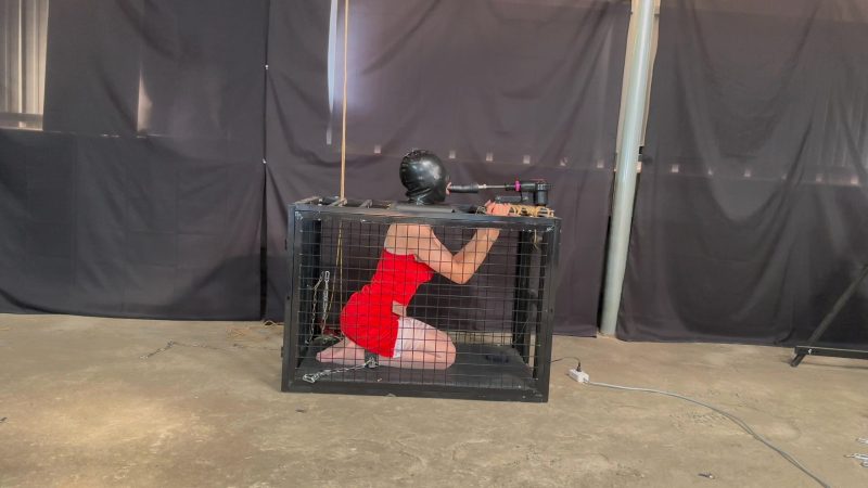 【瓜小菜】狗笼强制深喉+zdb三角架+hx面具pj -视频-5元站