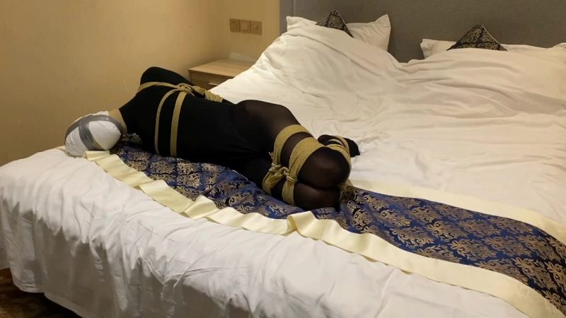 【我一定会回来的】驷马紧缚-视频-5元站