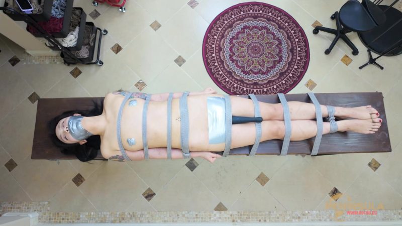 【半岛束艺台】寻找波雅的G点-视频-5元站