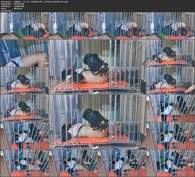 【小系】［伪娘/炮机/折磨］人形母狗笼中训练被迫呻吟-视频-5元站