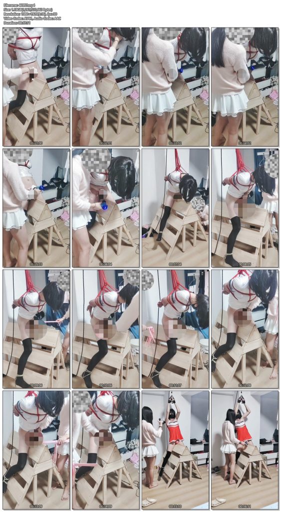 图片[2]-【小系】[伪娘/强高]木马固定折磨炼狱-视频-5元站