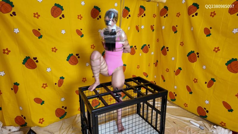 【道士下山】体验虐待到哭+绝望 痛苦 挣扎+呼吸困难训练+保鲜膜 包裹头部+胶带封嘴+笼子人体结合+单蟹腿+ 紧缚折磨 +皮鞭打脸+双腿固定+震动棒穴位刺激+皮鞭虐腹+强力揉胸+抚摸+哀嚎声不断-视频-5元站