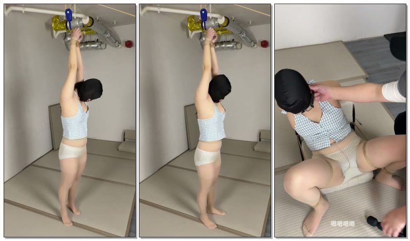 【眼眸出品】《背着主人偷约调+SP+扇脸+语言羞辱101》-视频-5元站