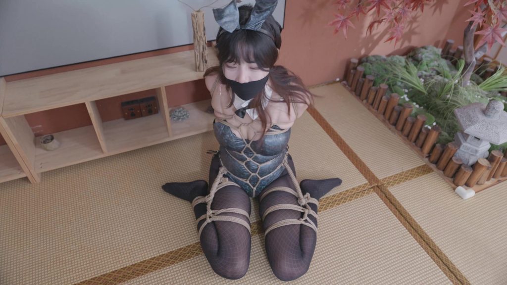 【波丝姬】龟甲缚绑架拍打震动刺激黑丝兔女郎-视频-5元站