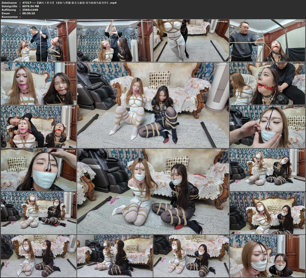 图片[3]-【枫叶工作室】《彩虹与黑猫·新美人捕获·菜鸟侦探失踪事件》-视频-5元站