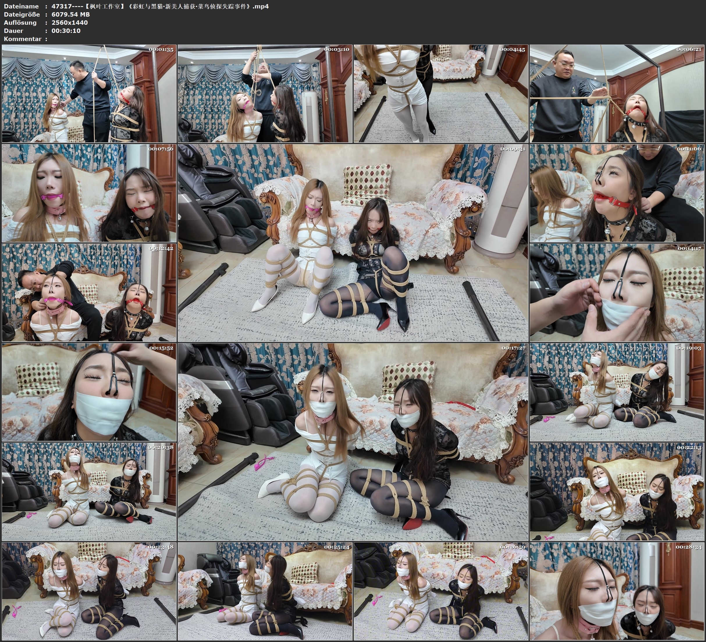 图片[3]-【枫叶工作室】《彩虹与黑猫·新美人捕获·菜鸟侦探失踪事件》 - 视频-5元站-视频-5元站