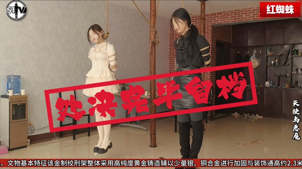 【精致原创】斯特兰奇法制电视台《红蜘蛛》第二集——天使与恶魔-视频-5元站