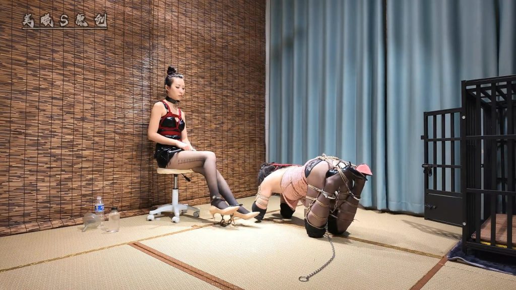 【美曦s】真女与伪娘《囚禁锁娘 3 》全身缚＋犬缚连体口球吊头 100多米的绳子绑上在狗笼里被囚禁40多分钟一镜到底，终于俩位女主打开门，以为就此结束的敏儿，谁知道还要继续羞辱...-视频-5元站