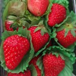 888ppp的头像-5元站