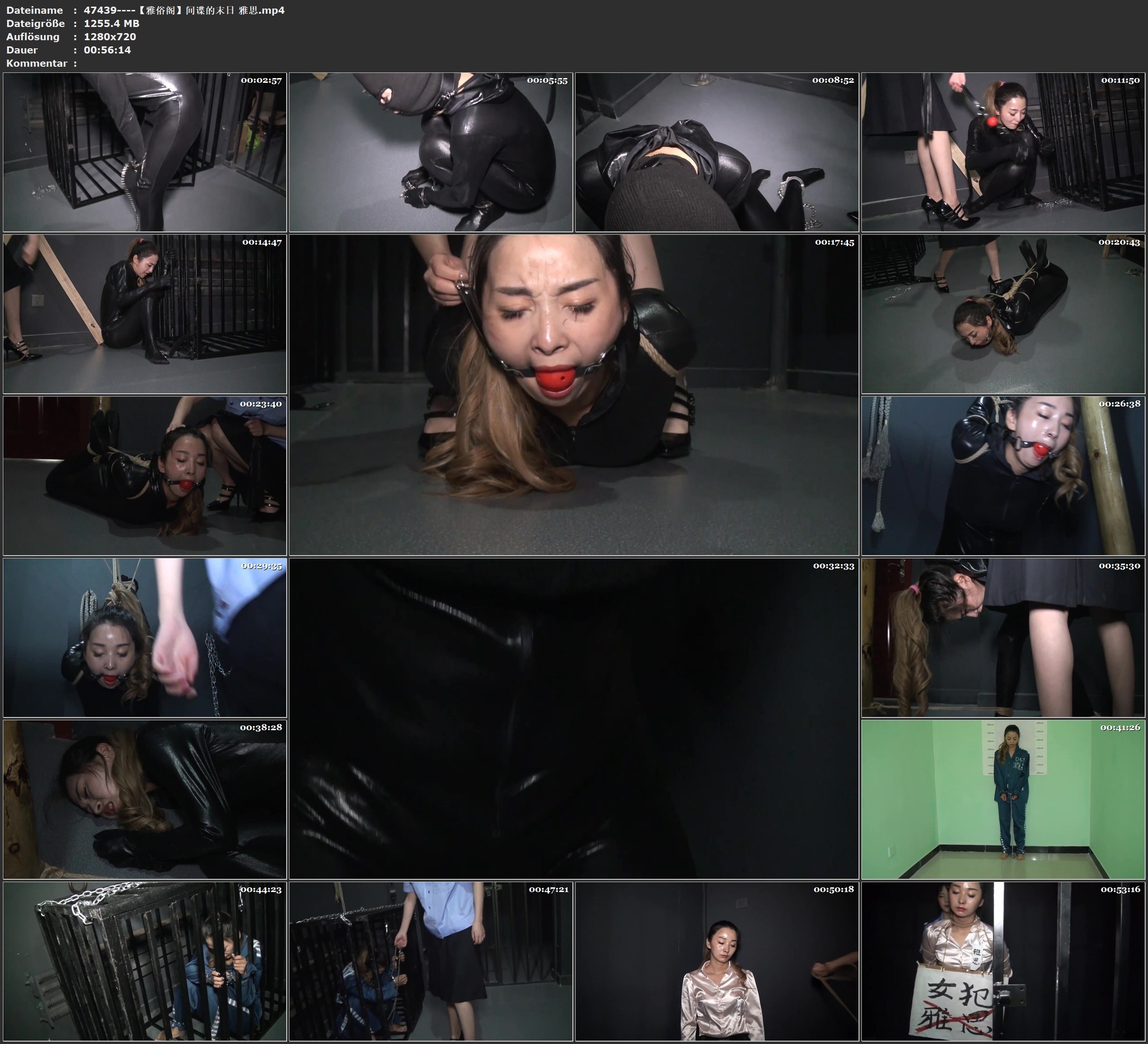 图片[2]-【雅俗阁】间谍的末日 雅思 - 视频-5元站-视频-5元站