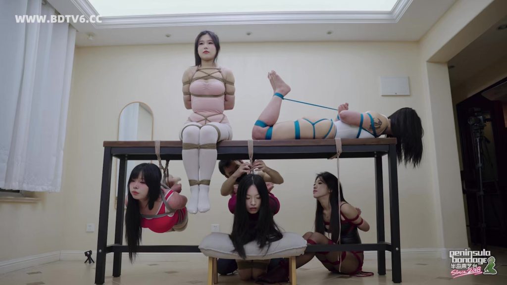 【半岛束艺台】【海语】【波雅】【缇娜】【泽爱】【安生】老桌伏枥，志在千人 - 视频-5元站-视频-5元站