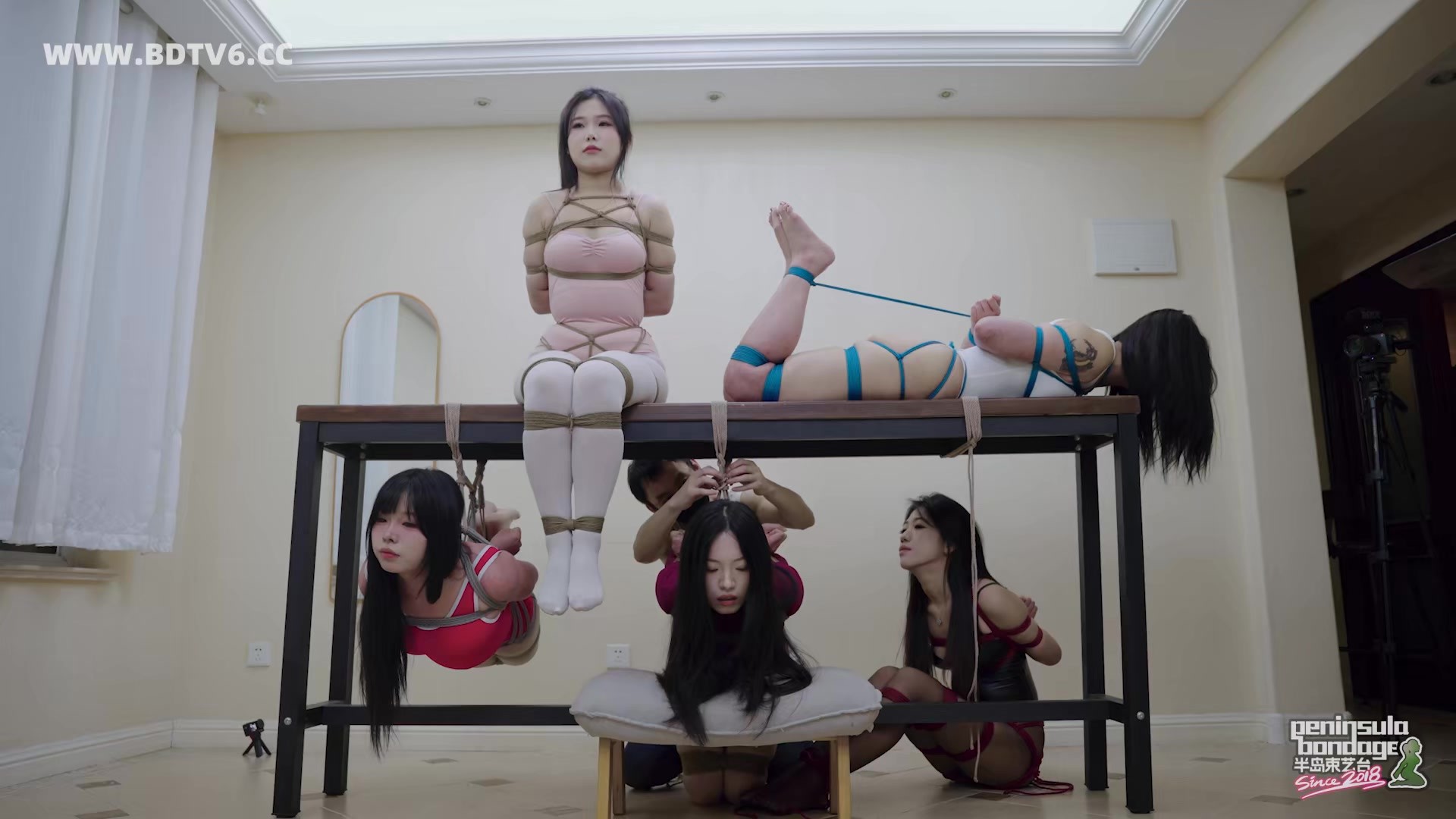 图片[1]-【半岛束艺台】【海语】【波雅】【缇娜】【泽爱】【安生】老桌伏枥，志在千人 - 视频-5元站-视频-5元站