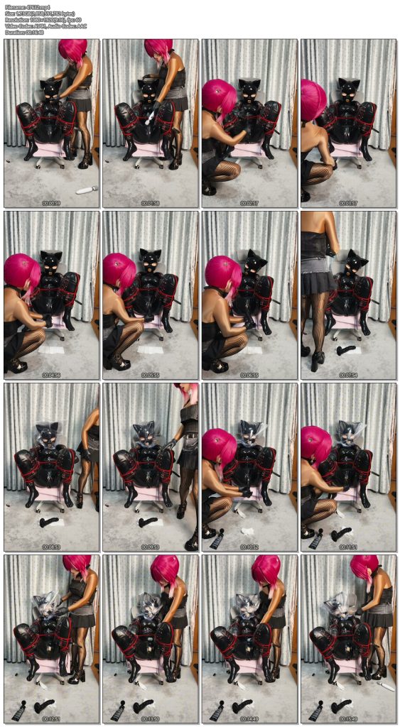 图片[2]-【dongdong】kigurumi k9抽查至息昏迷-视频-5元站