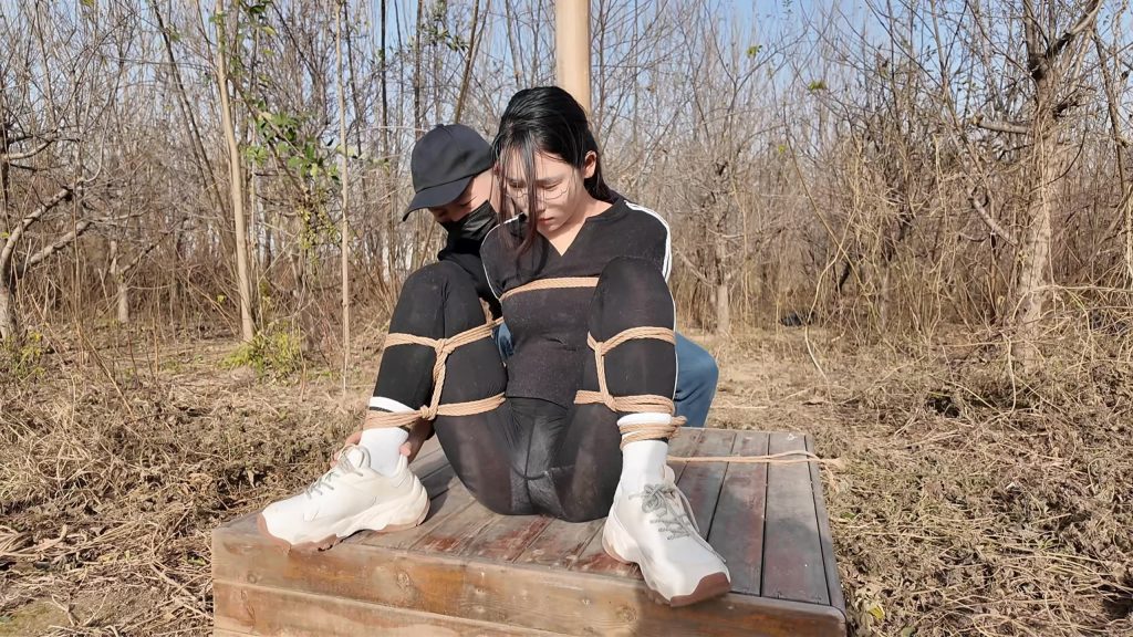 【李大侠原创】绑架十一第二季上-视频-5元站