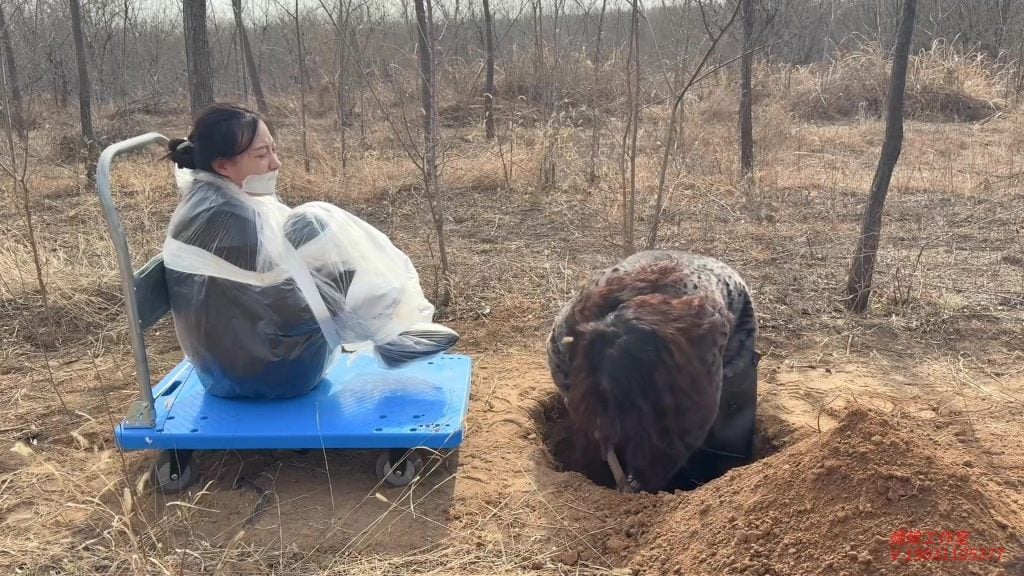 【媚娘工作室】活埋-荒野公厕-视频-5元站