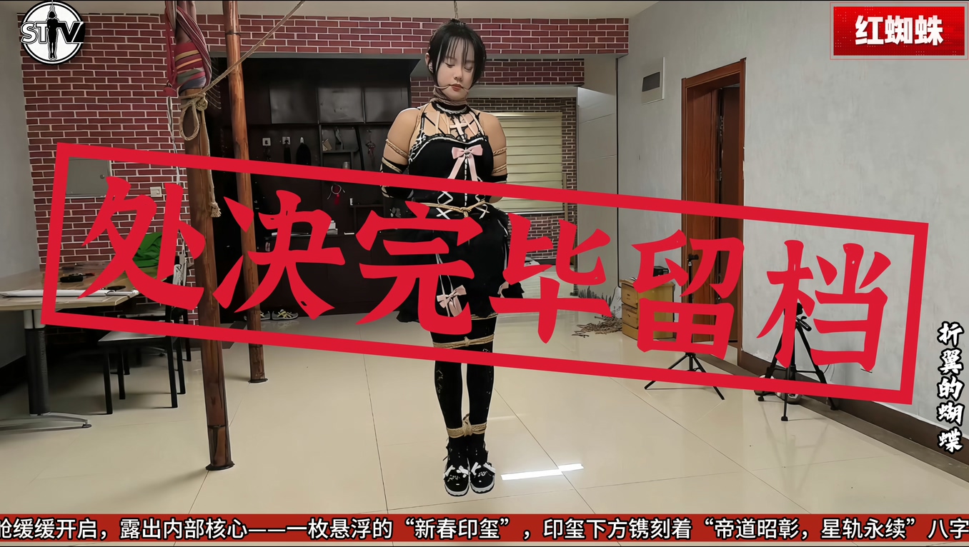 图片[2]-【精致原创】【2026开年剧情大作】斯特兰奇法制电视台《红蜘蛛》第三集——折翼的蝴蝶 - 视频-5元站-视频-5元站