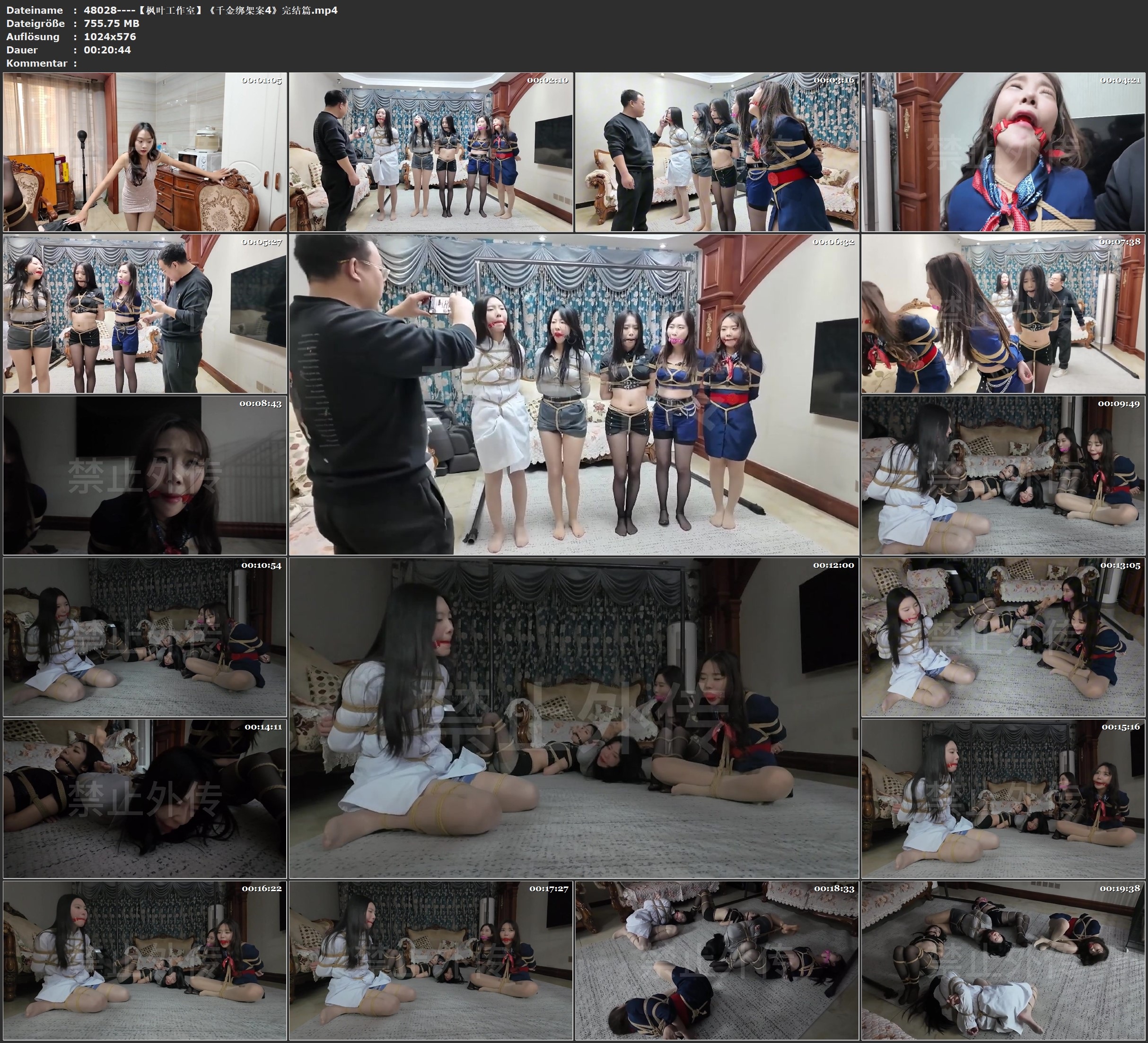 图片[4]-【枫叶工作室】《千金绑架案4》完结篇 - 视频-5元站-视频-5元站