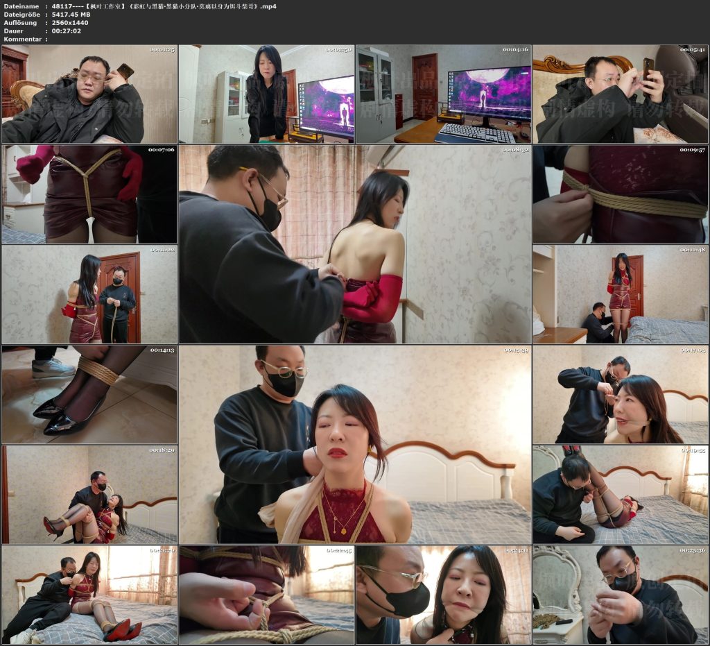 图片[2]-【枫叶工作室】《彩虹与黑猫·黑猫小分队·莫璃以身为饵斗柴哥》-视频-5元站