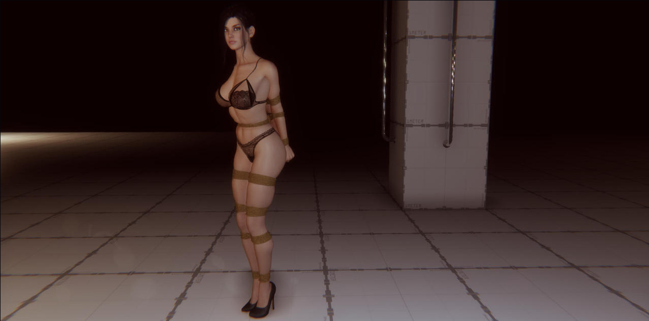 图片[1]-Flight of the Swallow 0.18.0.1 [英文] [电脑] - 5元站-5元站