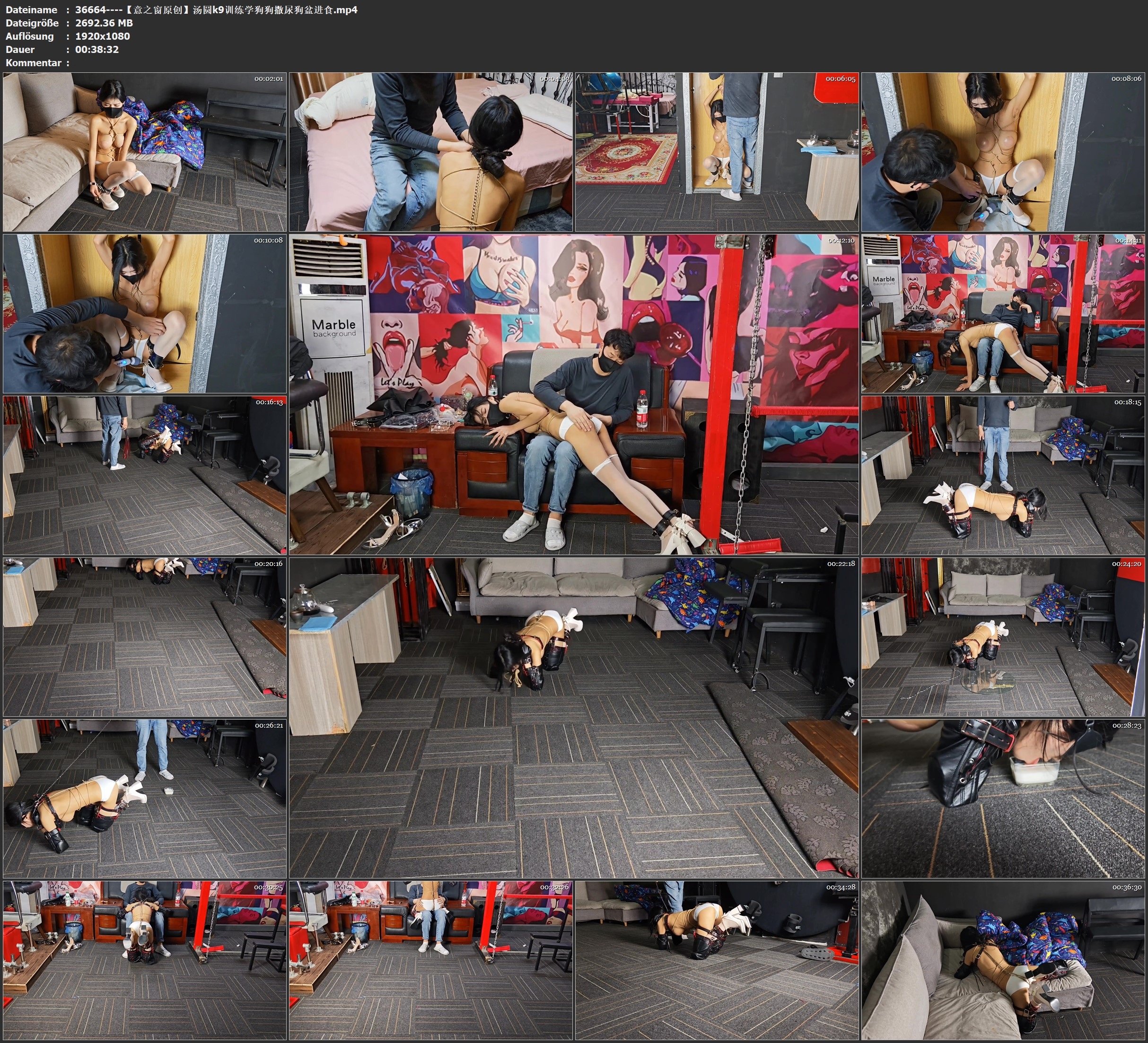 图片[4]-【意之窗原创】汤圆k9训练学狗狗撒尿狗盆进食 - 视频-5元站-视频-5元站