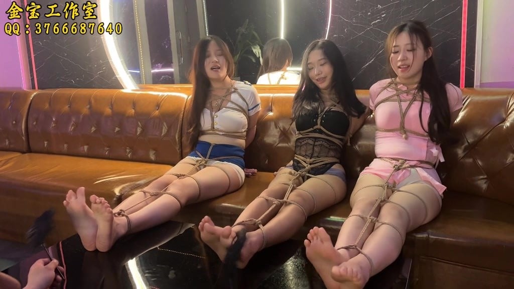 【金宝工作室】《卧底的遭遇续集》下-视频-5元站