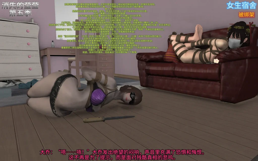 第五季 消失的莹莹 09-10合集-5元站