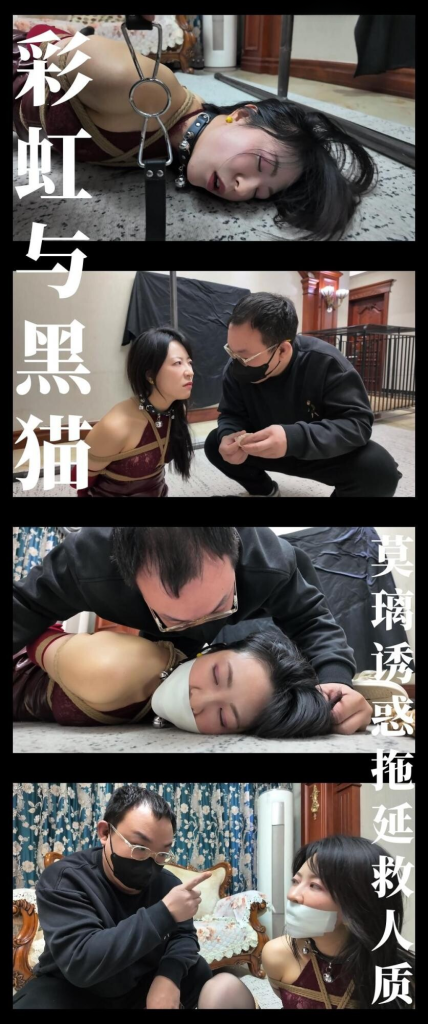 【枫叶工作室】《彩虹与黑猫·黑猫小分队·莫璃诱惑拖延救人质》-视频-5元站