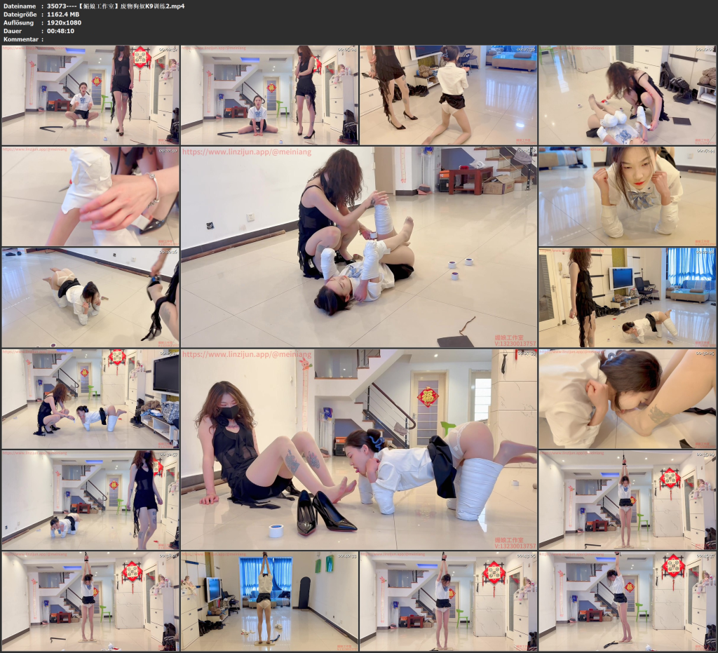 图片[3]-【媚娘工作室】废物狗奴K9训练2-视频-5元站