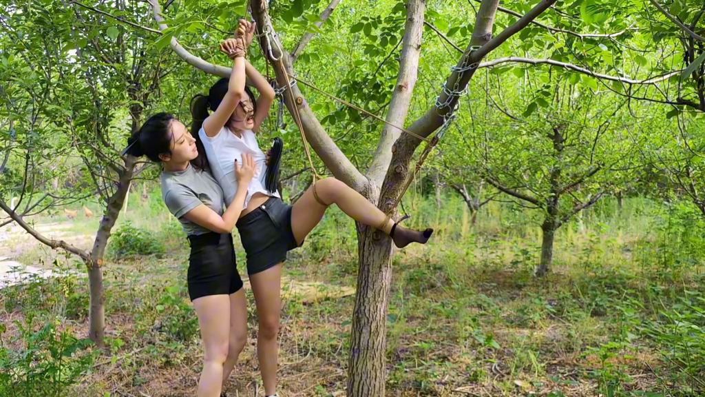 【李大侠原创】女斗三-视频-5元站