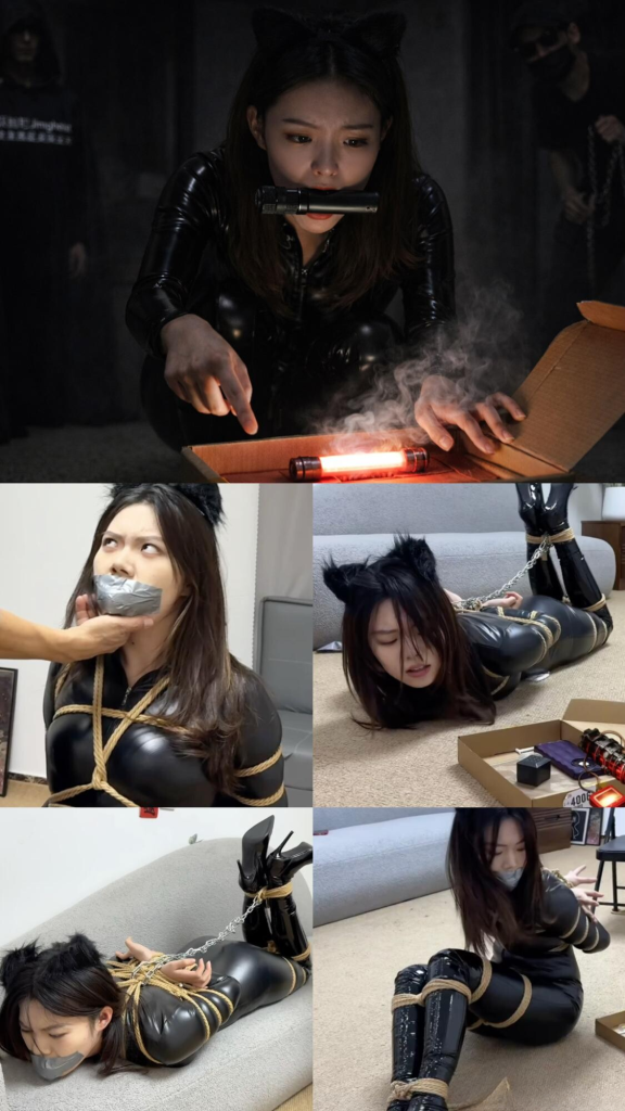 【金宝工作室】猫女盖盖爆弹危局 神秘编剧”出镜“-视频-5元站