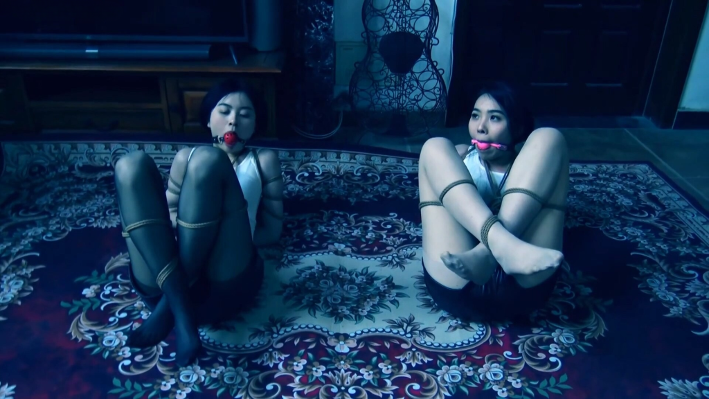 【胜景影视】《特战出击》 中集-视频-5元站